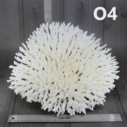 Table Coral 14-18"