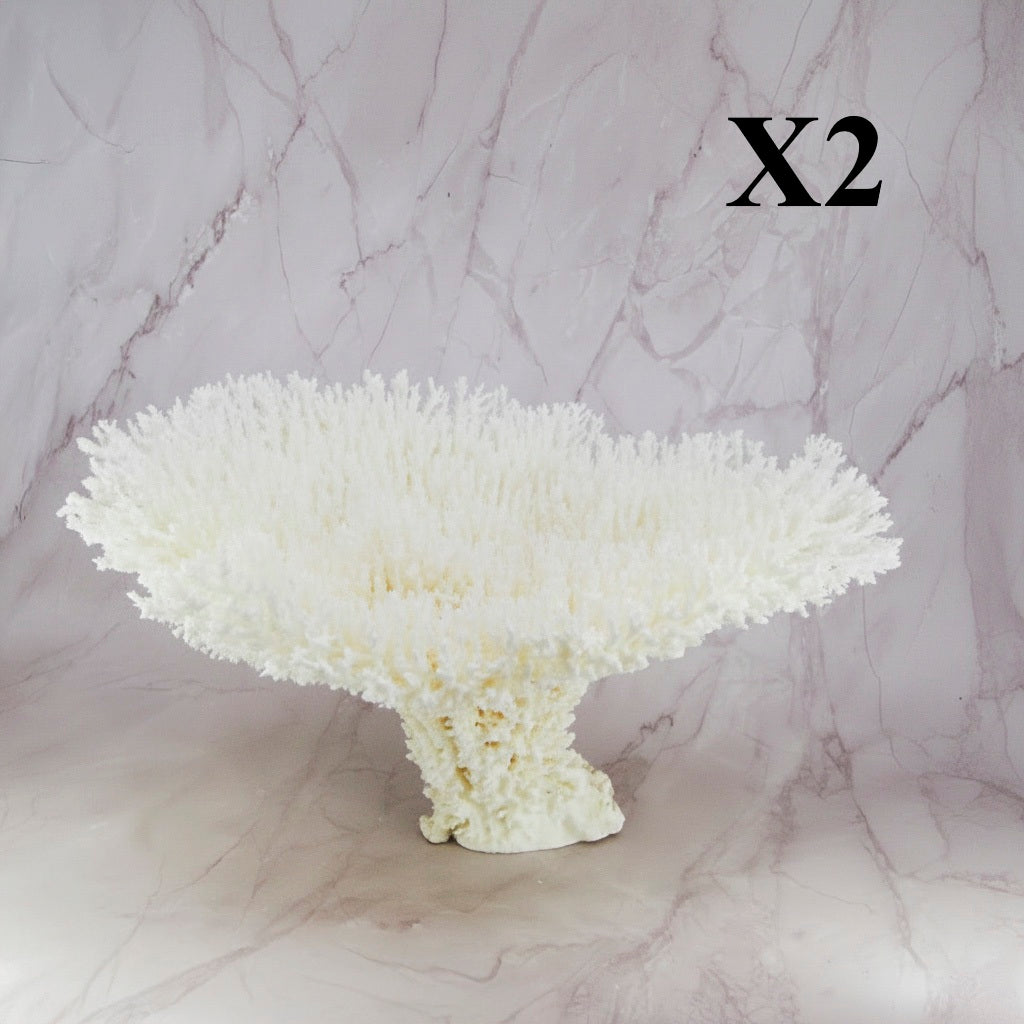 Table Coral 14-18"