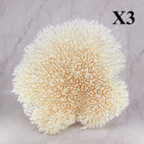 Table Coral 14-18"