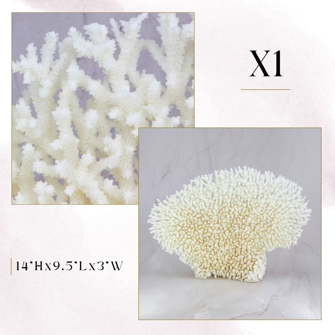 Exclusive Coral Drops | Week 2