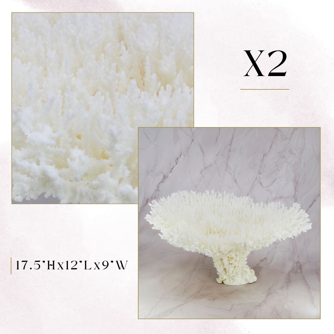 Exclusive Coral Drops | Week 2