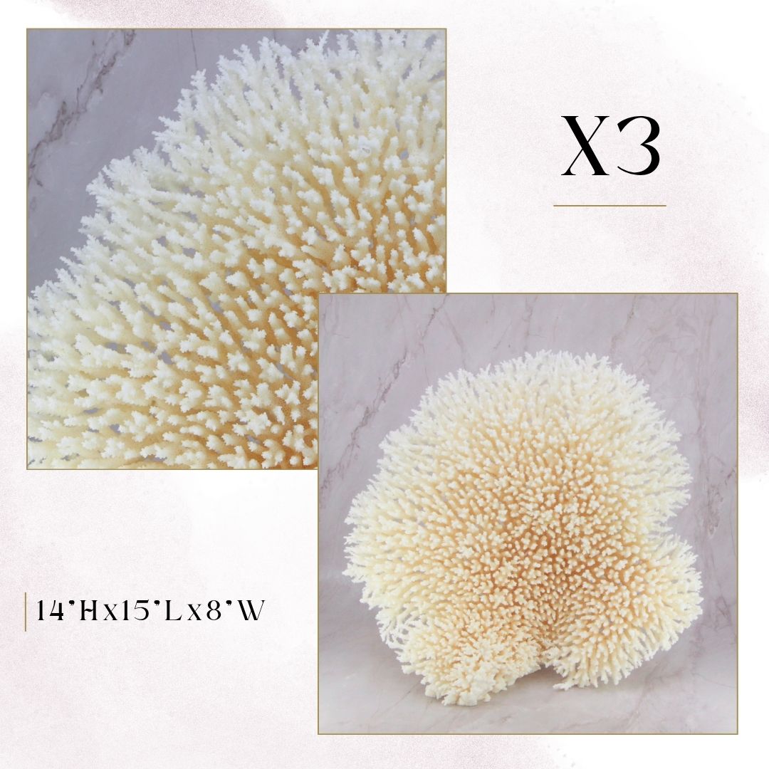 Exclusive Coral Drops | Week 2