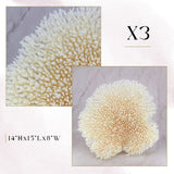 Exclusive Coral Drops | Week 2
