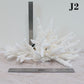 Branch Coral 14-16"