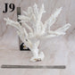 Branch Coral 14-16"