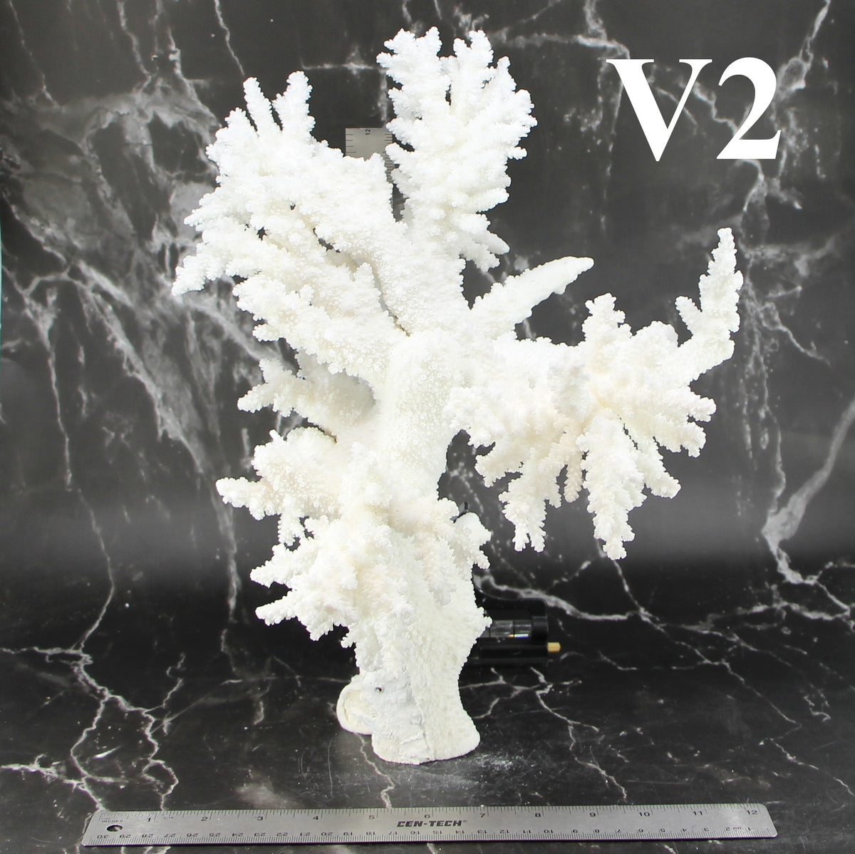 Branch Coral 14-16"