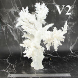 Branch Coral 14-16"