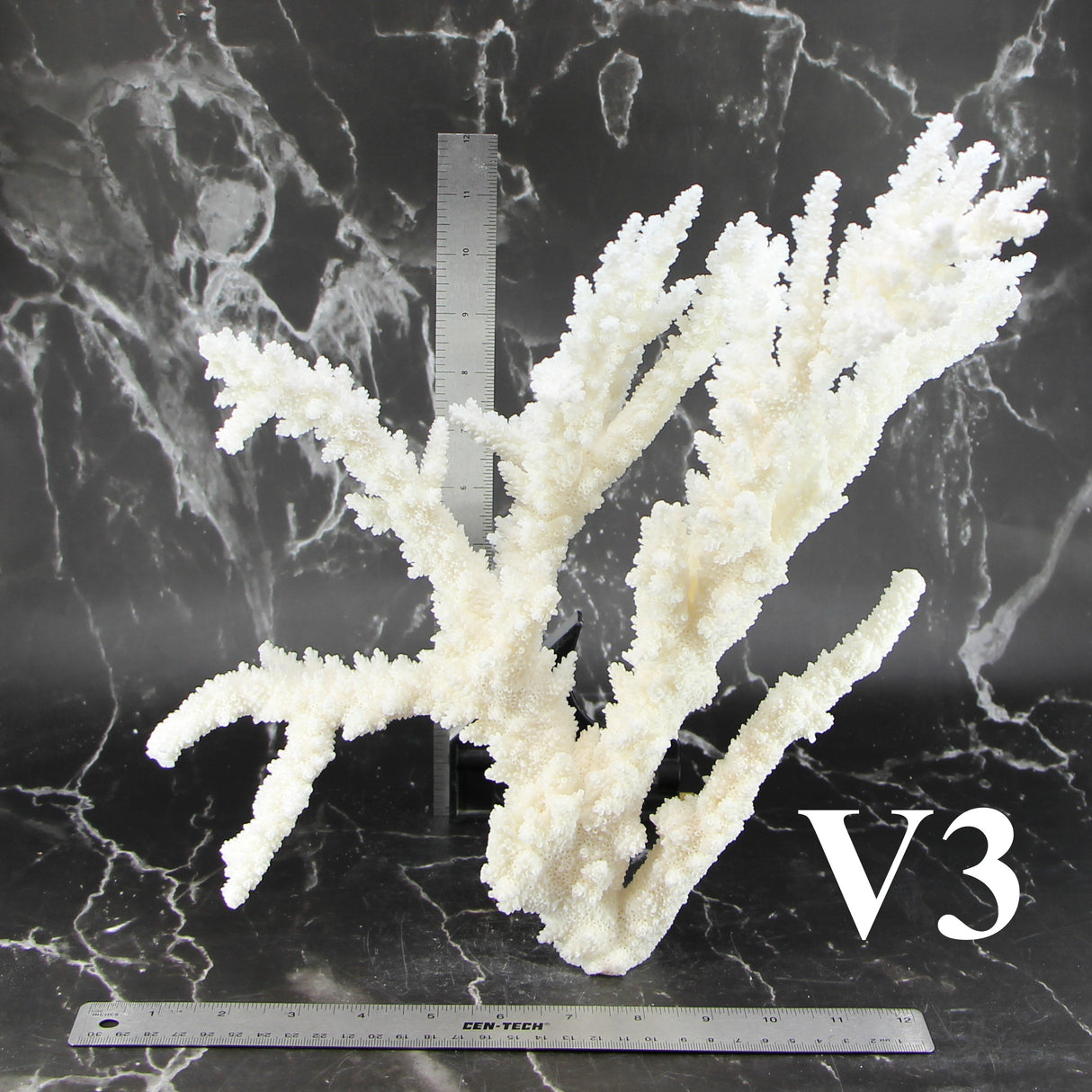 Branch Coral 14-16"