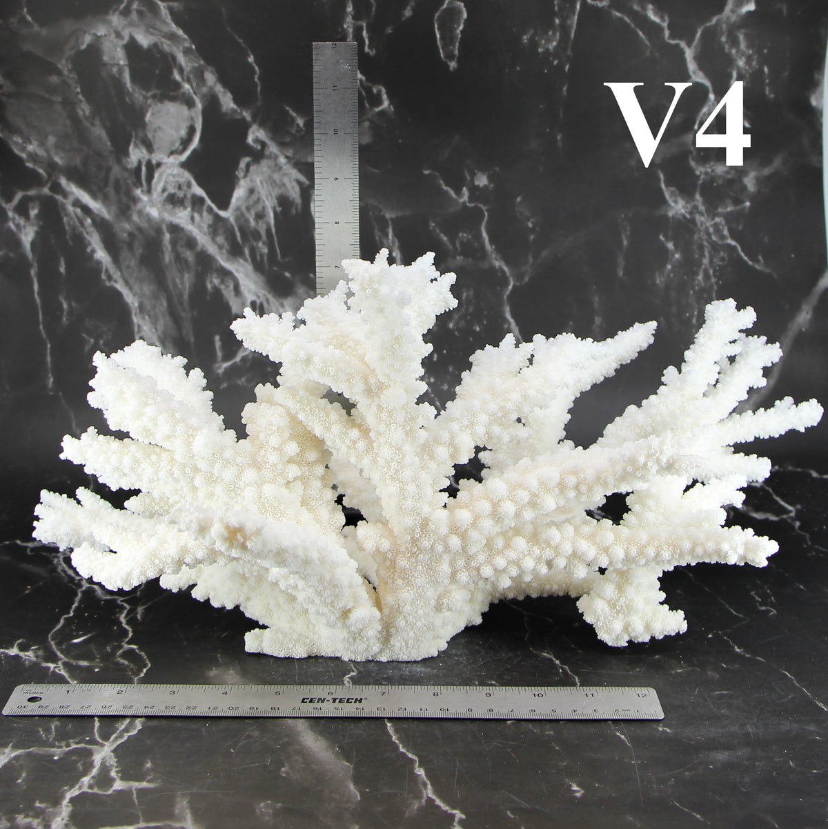Branch Coral 14-16"