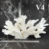 Branch Coral 14-16"