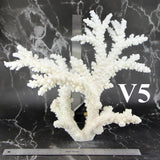 Branch Coral 14-16"