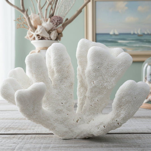 Catspaw Coral 14-16"