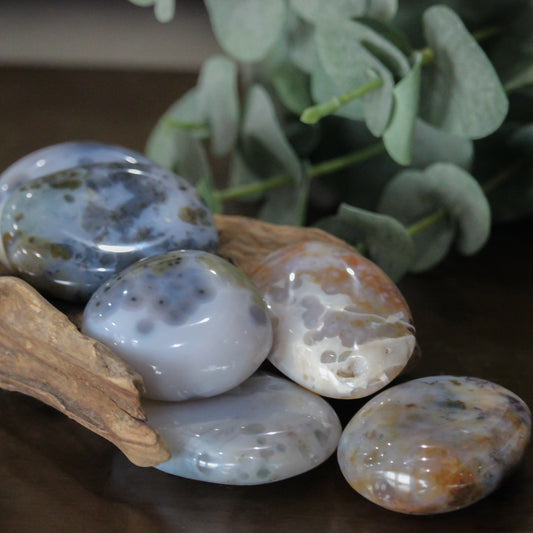 Ocean Jasper Palm Stone