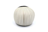 Pebble Bud Vase