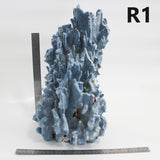 Blue Coral 16-19"
