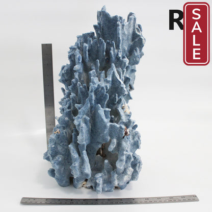 Blue Coral 16-19"