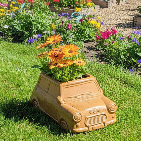 Car Planter | Rust