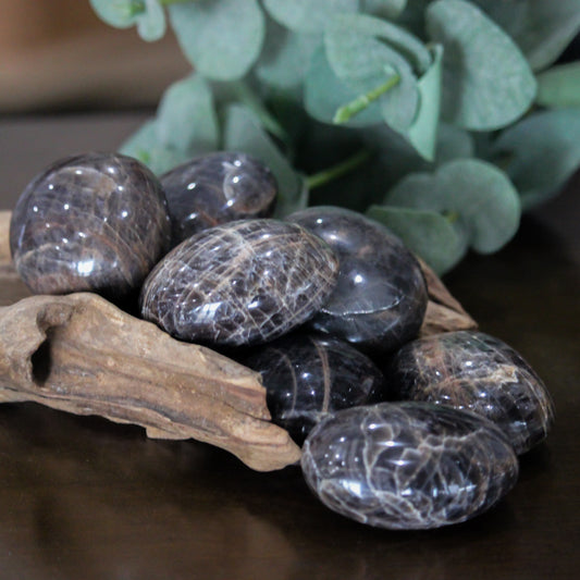 Black Moonstone Palm Stone