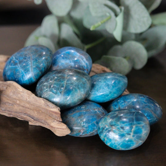 Graphic Amazonite Palm Stone