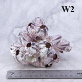 Barnacles 3-5"