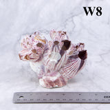 Barnacles 3-5"