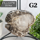 Petrified Wood Slabs 3-5"