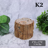 Petrified Wood Branch 3-6"