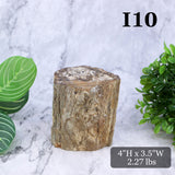 Petrified Wood Branch 3-6"