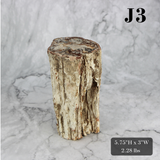 Petrified Wood Branch 3-6"