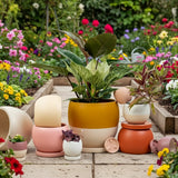 8" Bollé Pots with Water Saucers
