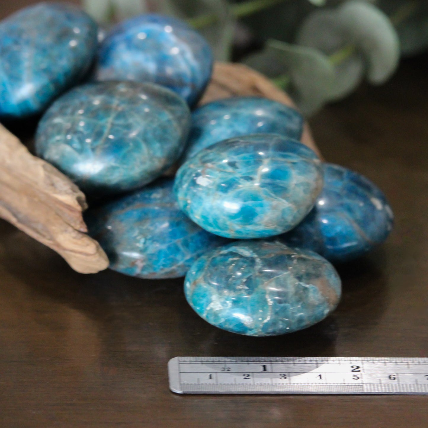 Graphic Amazonite Palm Stone