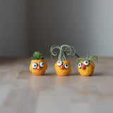 Animal Planters