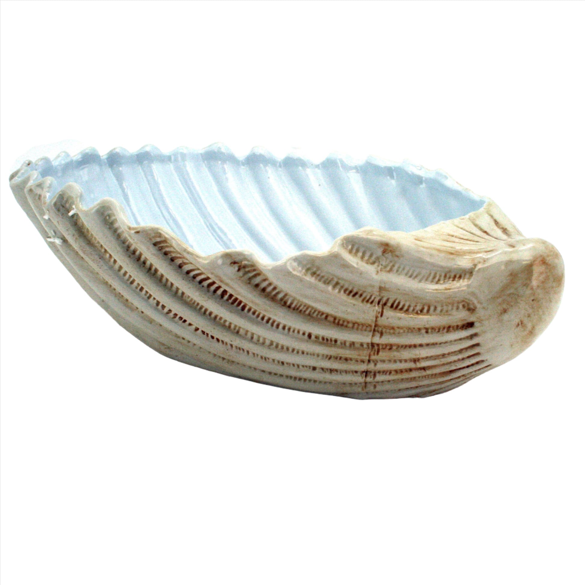 Ceramic Jumbo Clam Shell Bowl – Salt Flat Trading Co.
