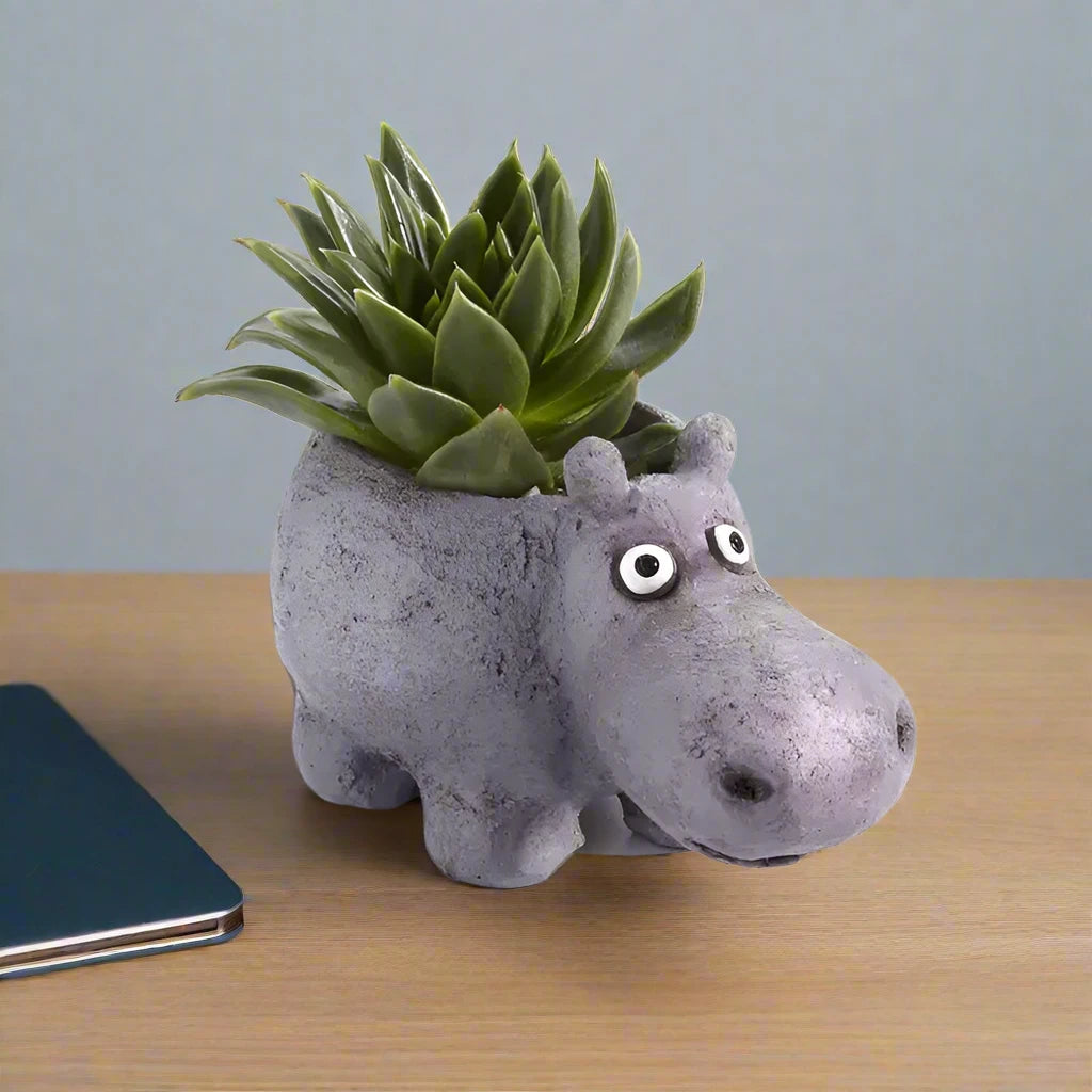 hippo plant pot Blobhouse Planters Frog Freckles
