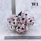 Barnacles 5-7"