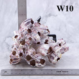 Barnacles 5-7"
