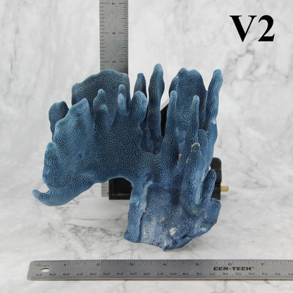 Blue Coral 5-7"