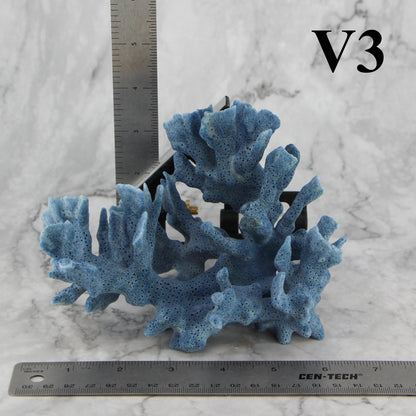 Blue Coral 5-7"