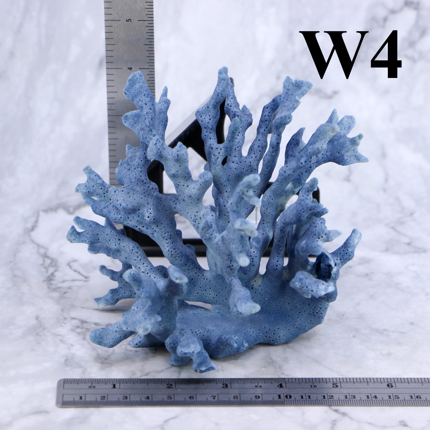 Blue Coral 5-7"