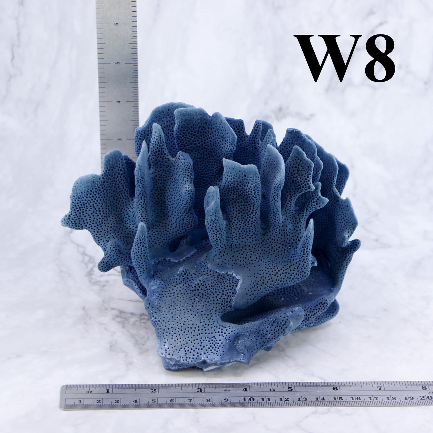 Blue Coral 5-7"