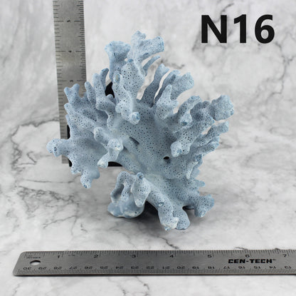 Blue Coral 5-7"