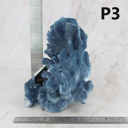 Blue Coral 5-7"