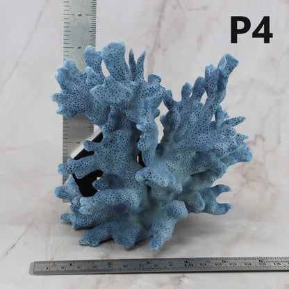 Blue Coral 5-7"