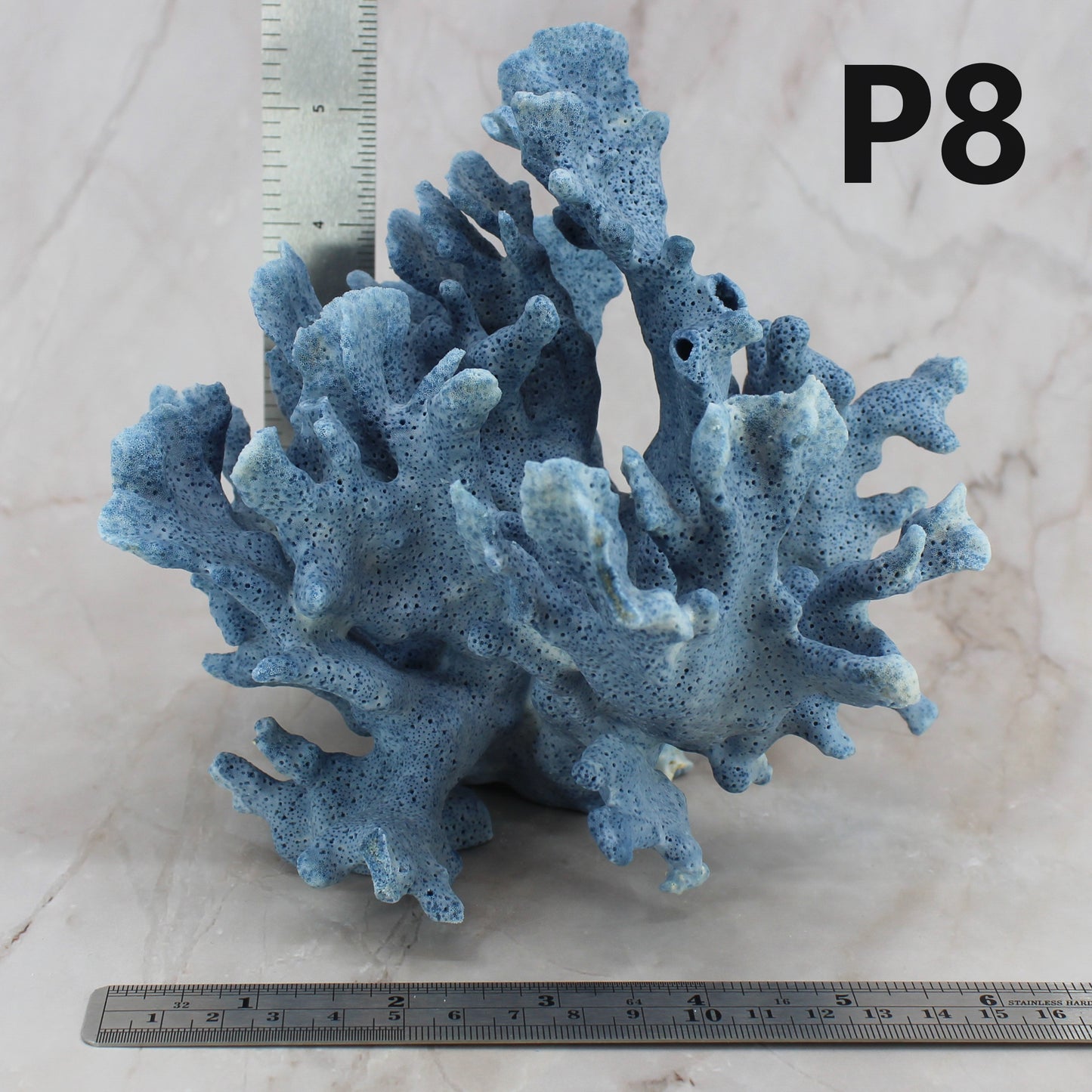 Blue Coral 5-7"