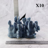 Blue Coral 5-7"
