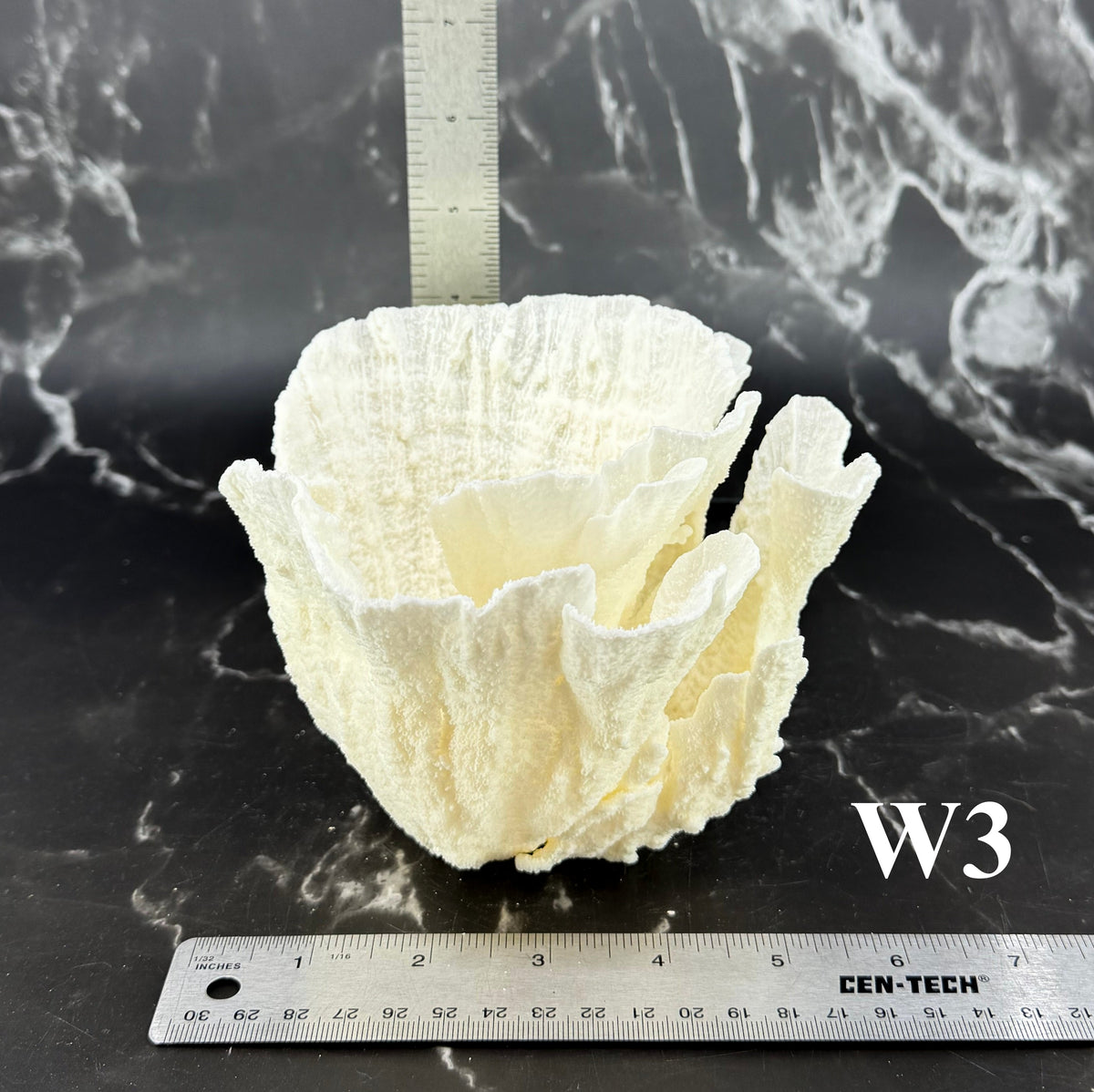 Poca Coral 5-7"