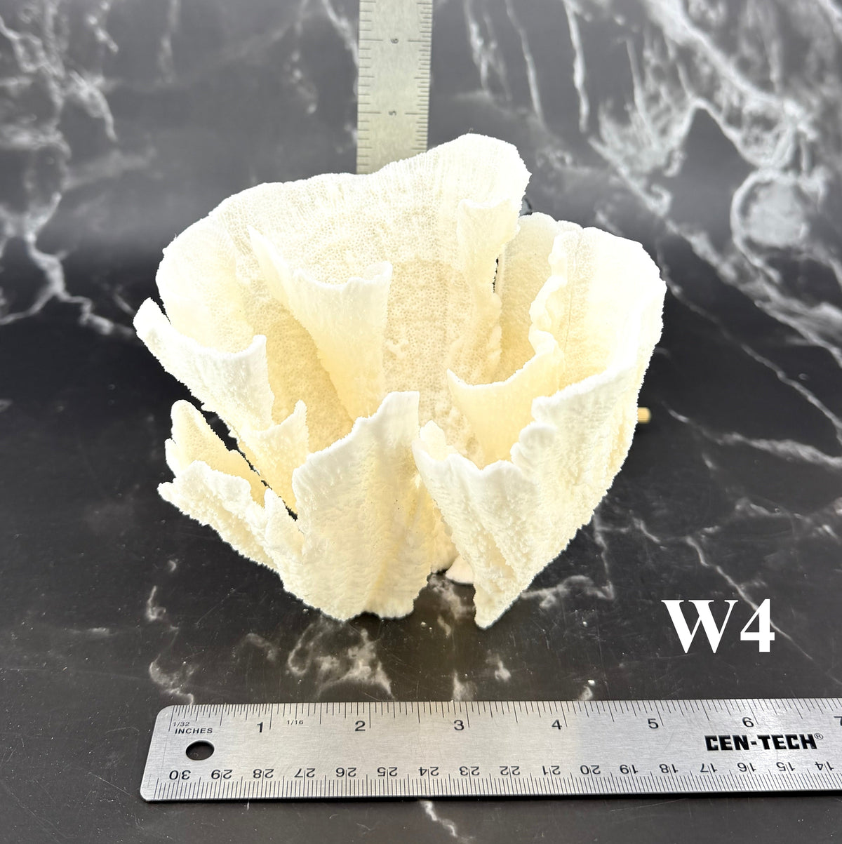 Poca Coral 5-7"