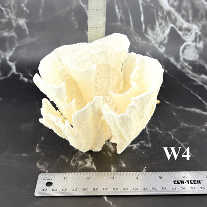 Poca Coral 5-7"