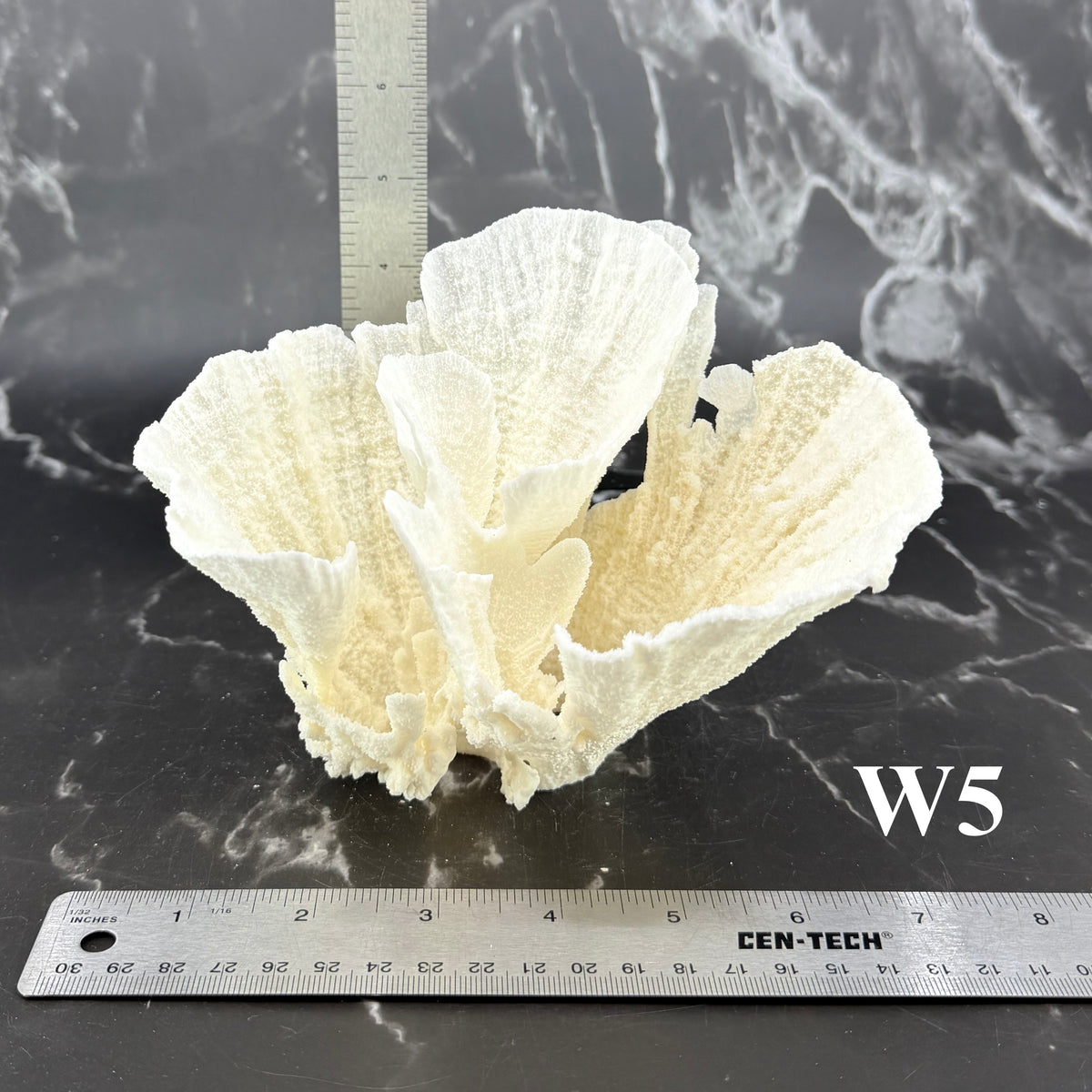 Poca Coral 5-7"
