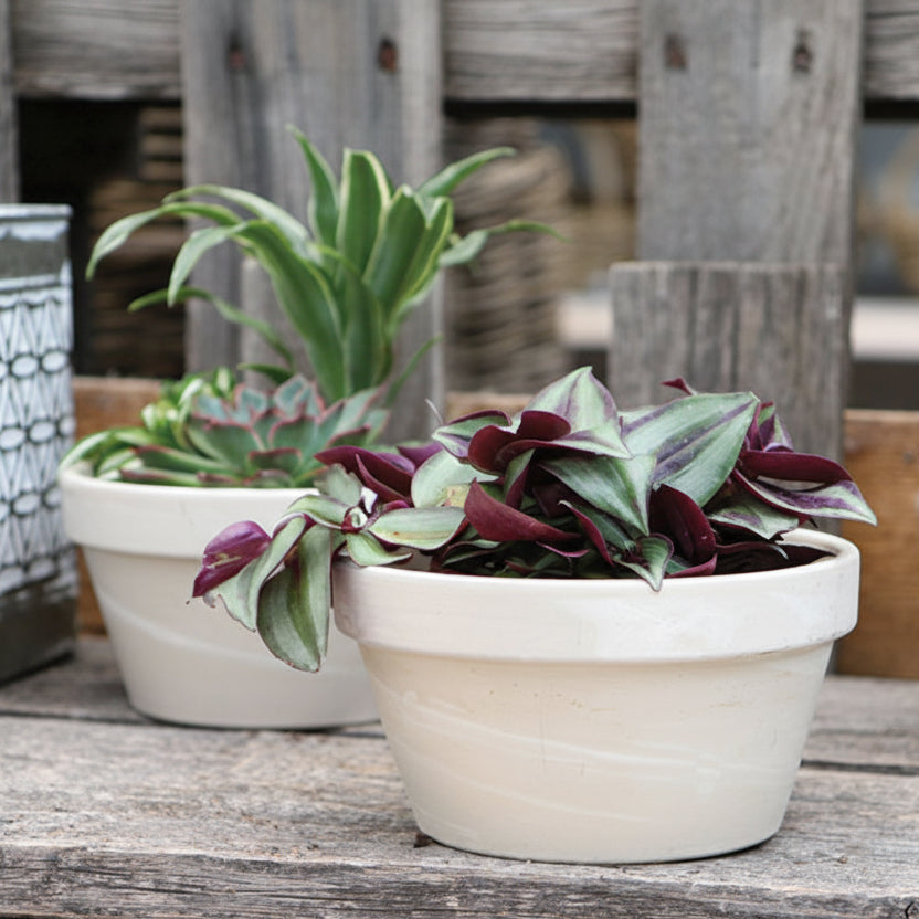 8' Seed Pan | Granite